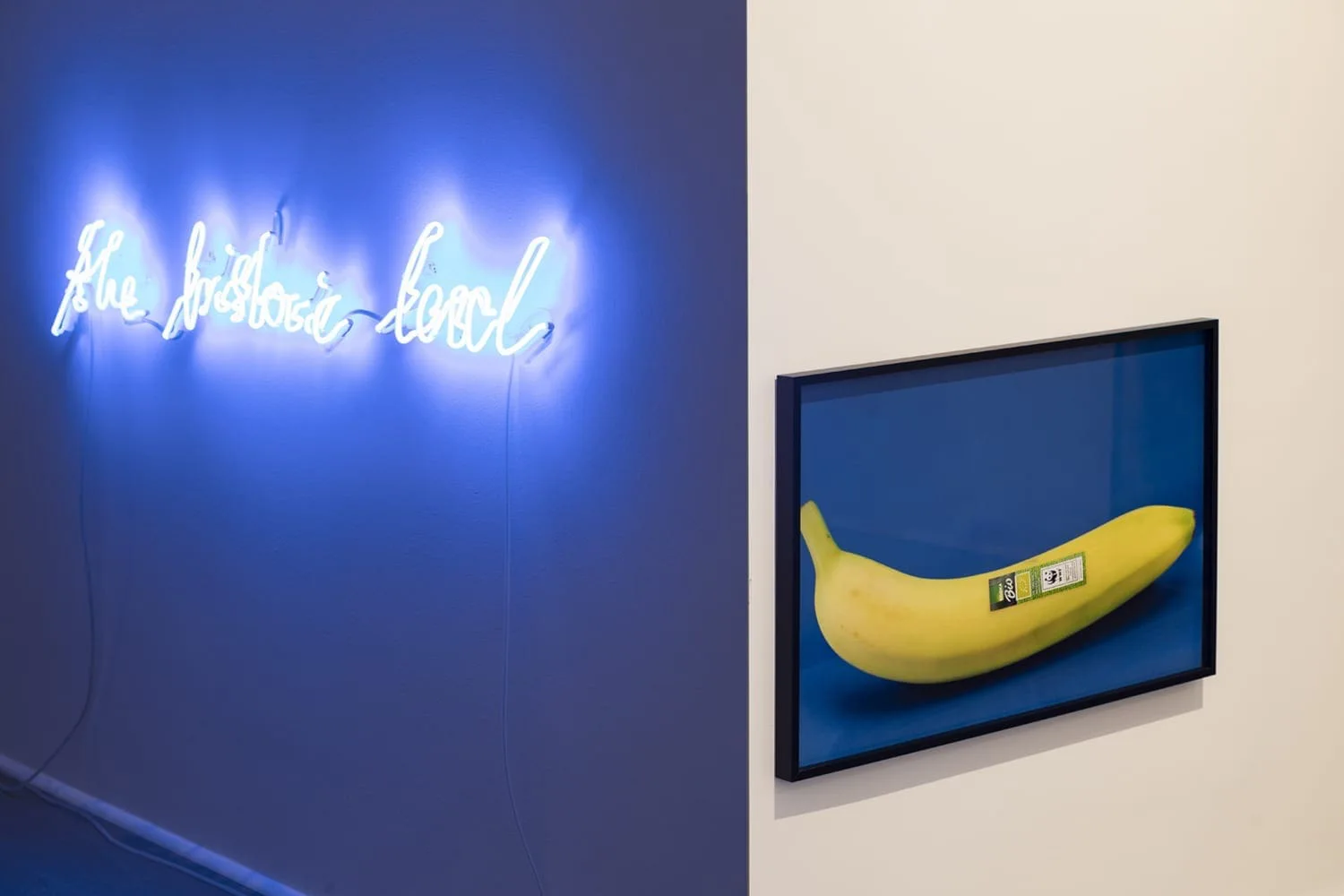 the historic level, installation view: white neon lettering “the historic level” on a blue-lit wall next to a banana picture