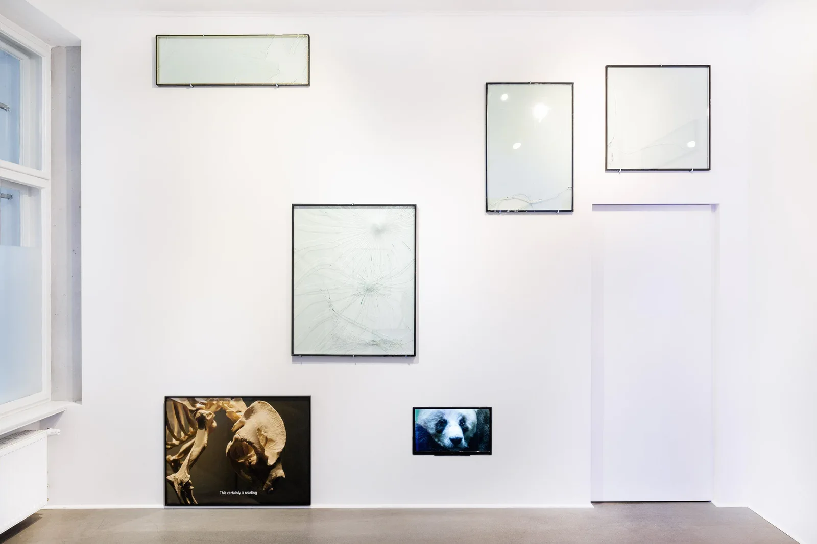 The incredulity of Saint Thomas III, Installationsansicht: weißer Raum mit leeren Rahmen und Panda-Bildern
