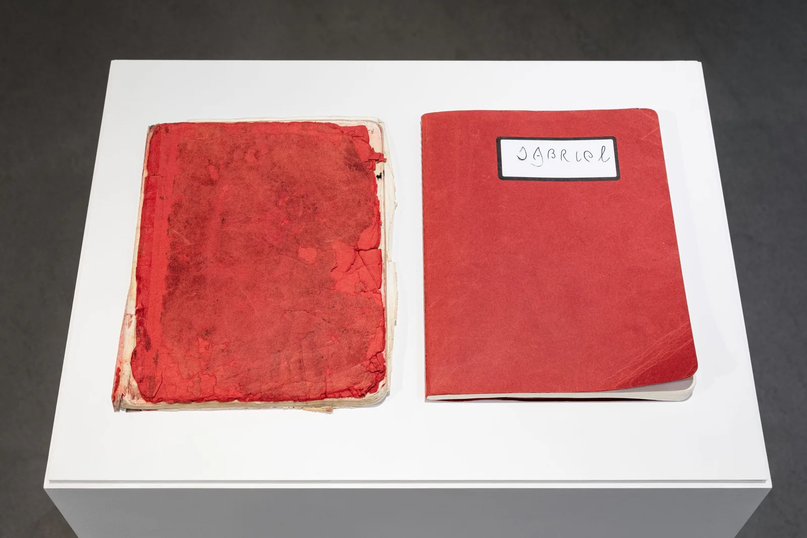 GABRIEL & JMH Schindele – Zwei Autoren: Feldarbeiter – Hausarbeiter, 2020: zwei rote Bücher nebeneinander in einer weißen Vitrine
