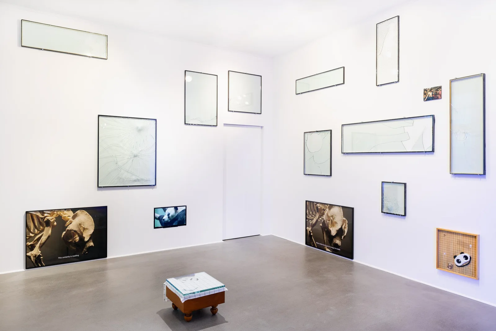 The Mythology of Michal Martychowiec: weißer Raum mit leeren Rahmen und Panda-Fotografien