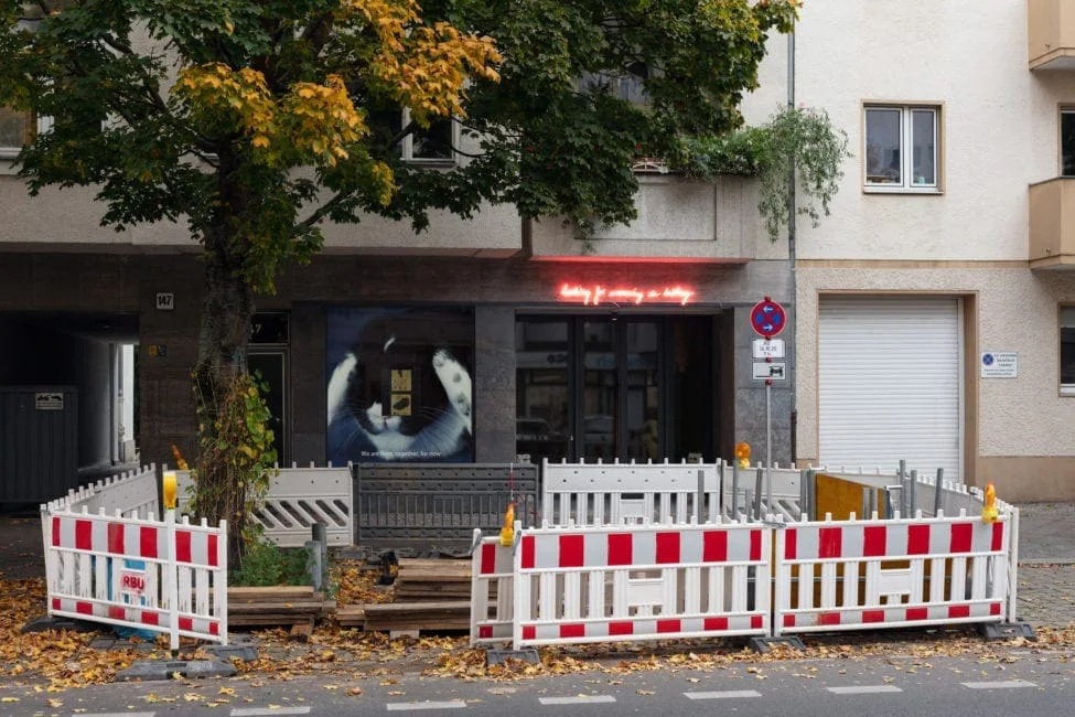 Installationsansicht: Galeriefassade mit dem Bild des Kaninchens Josephine, davor Baustellenabsperrungen