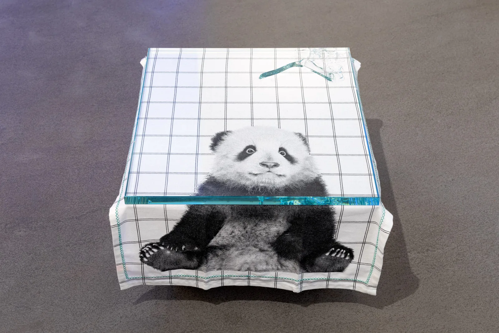 Michal Martychowiec, Shred of Turin, 2018: kariertes Tuch mit Panda-Bild über einem flachen Objekt