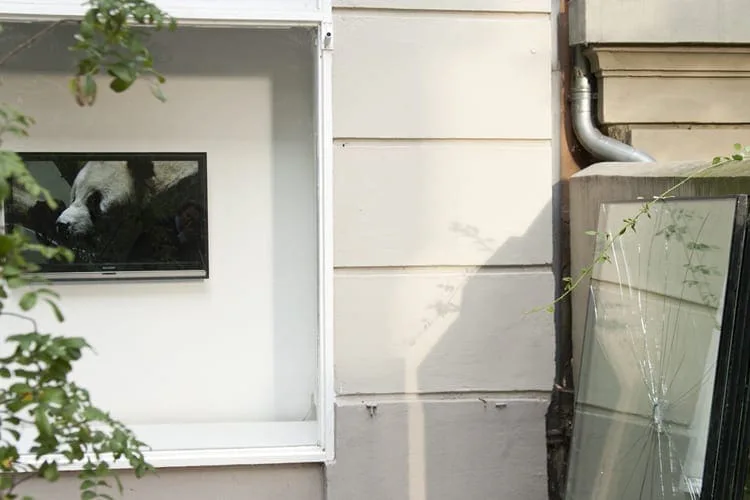 Glazed display case with photographs on a house wall next to a downpipe