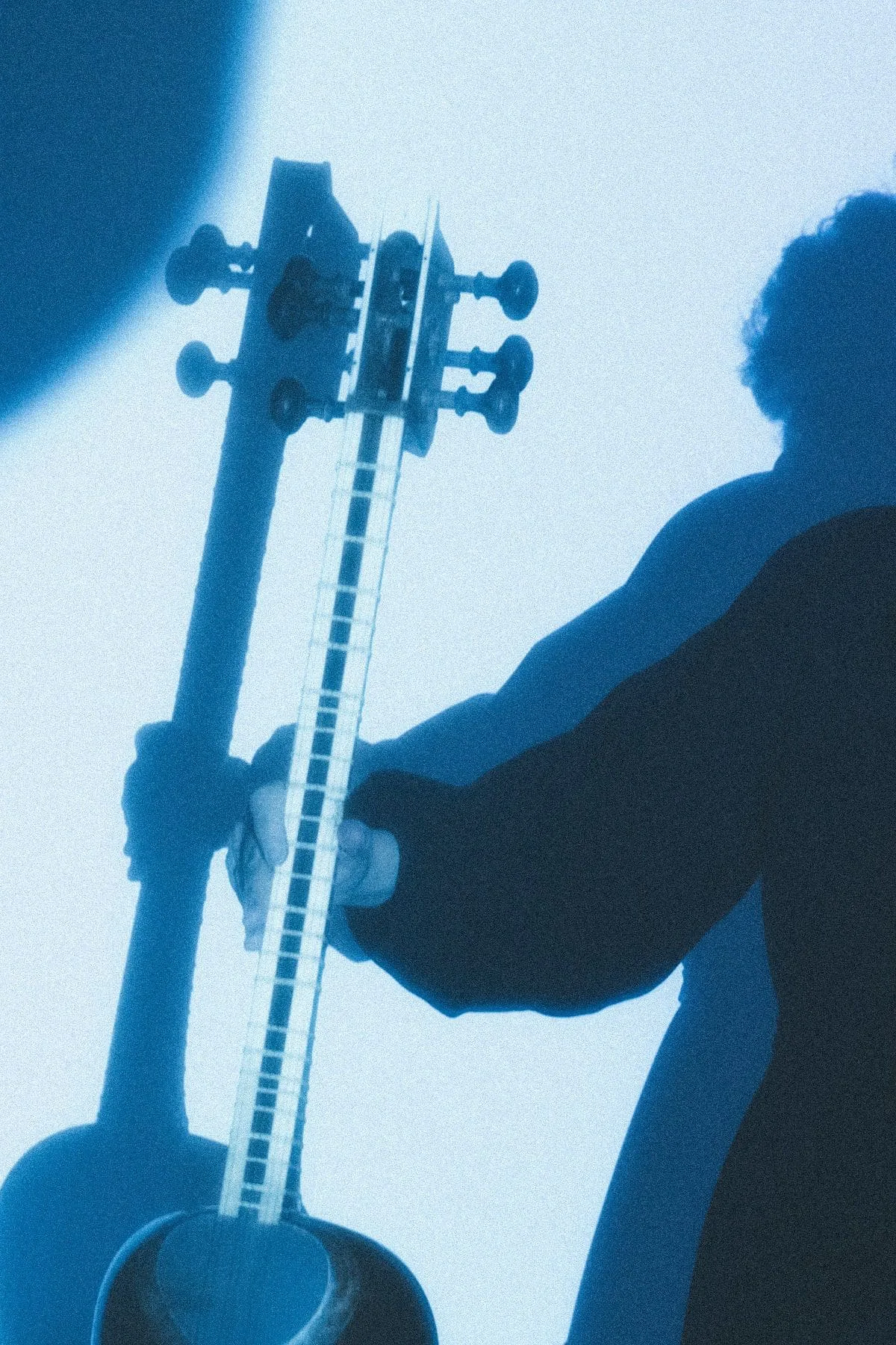 Elshan Ghasimi with her tar against the light, tinted blue, photo Arnauld Ele