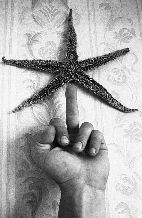 Sergey Bratkov, Fuck a Star, 1989: Hand mit ausgestrecktem Mittelfinger hält einen Seestern vor Tapete, Schwarz-Weiß