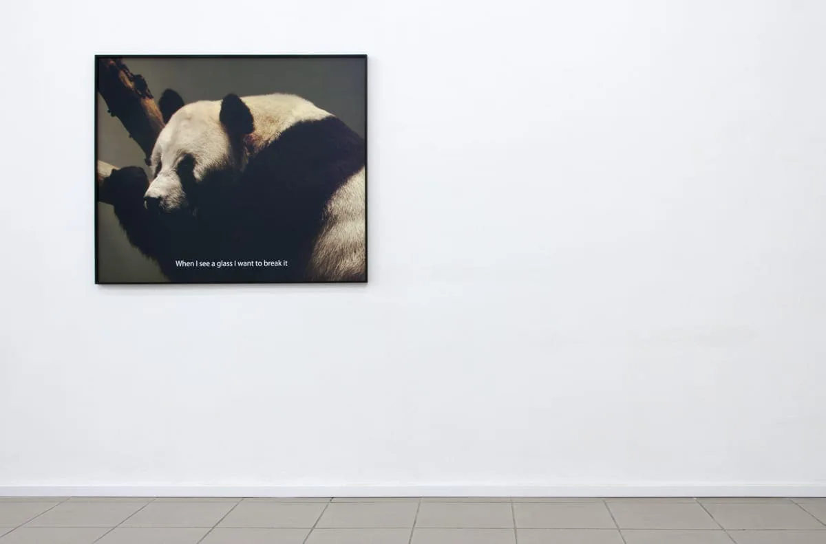 Michal Martychowiec, When I see a glass: gerahmtes Foto eines Pandas an einer weißen Galeriewand