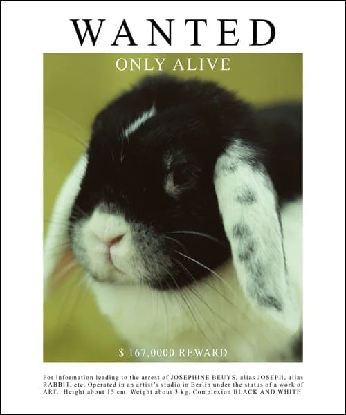 Michal Martychowiec, Josephine 2019 (Green): Plakat „Wanted – Only Alive“ mit dem Kaninchen Josephine auf grünem Grund und 167.000 Dollar Belohnung