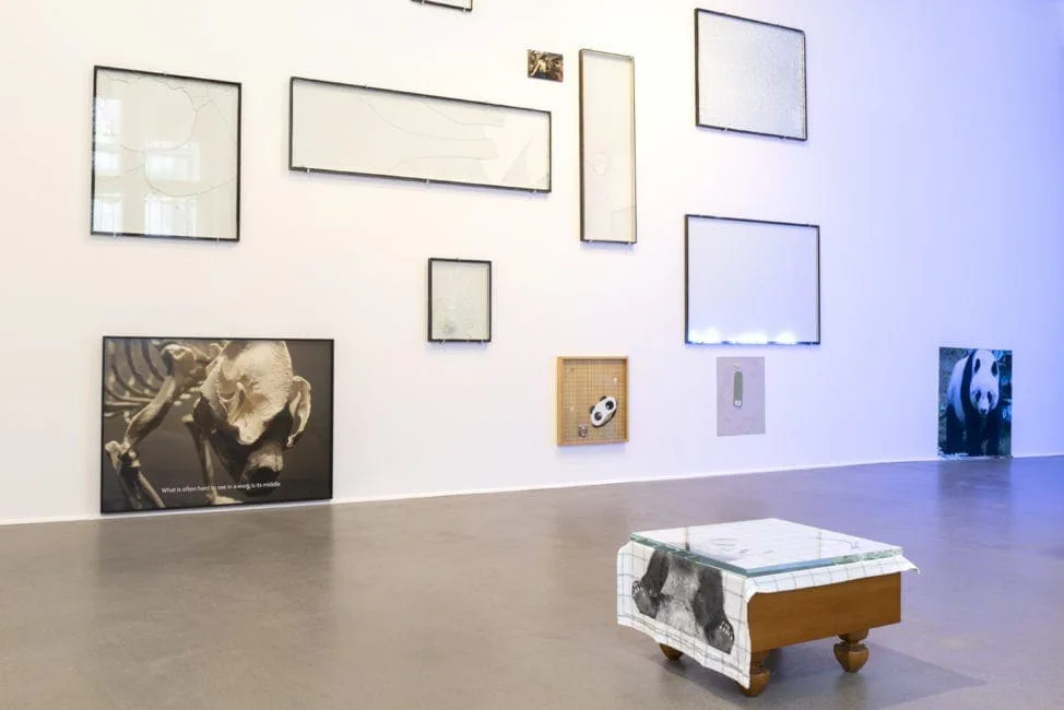 Nachricht vom letzten Menschen, exhibition view: wall with empty frames and photographs of a panda, in front of it an object on wheels