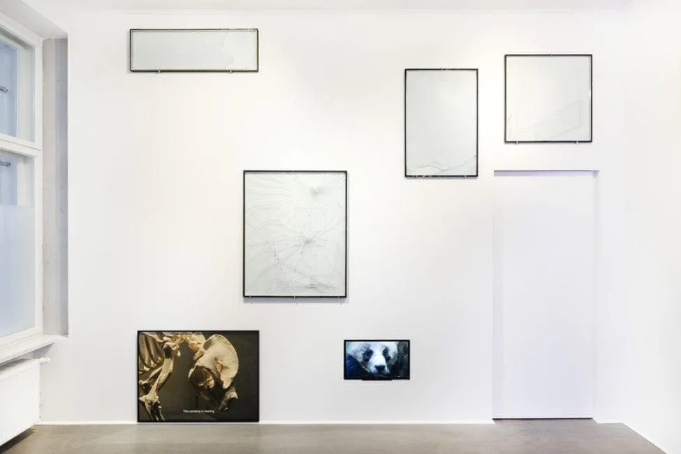 Nachricht vom letzten Menschen, exhibition view: white room with empty frames and photographs of a panda, photo Stefan Hähnel