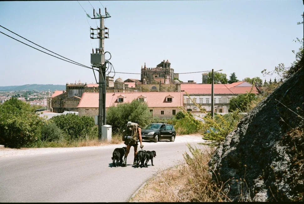 GABRIEL: a man walking two dogs along a road, a monastery building in the background