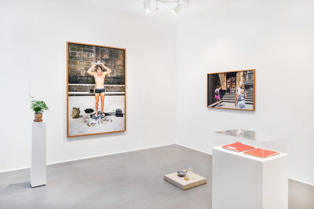 Marianische Antiphonen I, exhibition view: two large photographs, a display case and a plinth with a plant